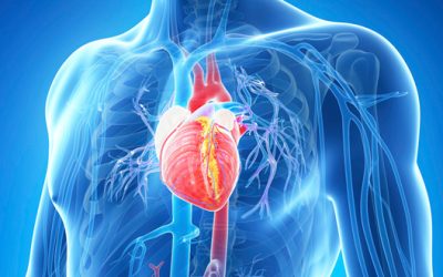 Understanding Your Heart Rate