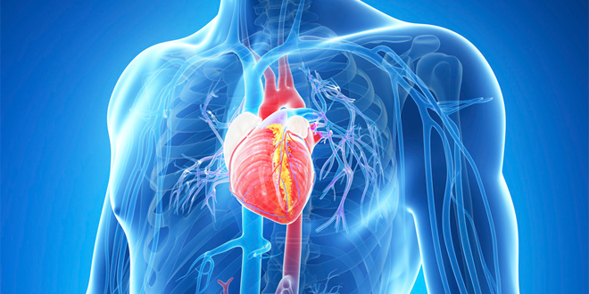 How Can I Live a Healthier, Longer Life Despite Heart Disease?