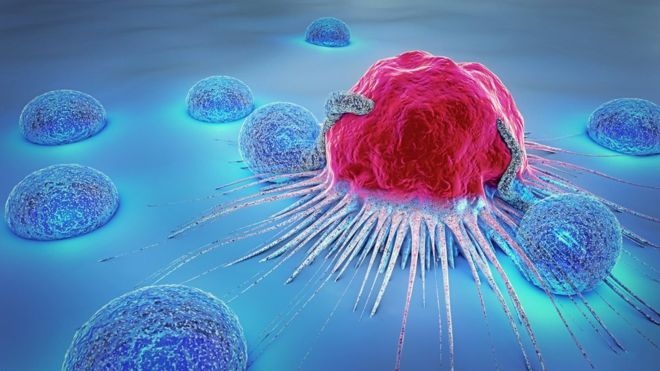 Beating Cancer