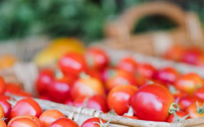 Diet and Heart Disease