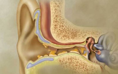 5 Signs you should see Ear, Nose, and Throat Doctor.