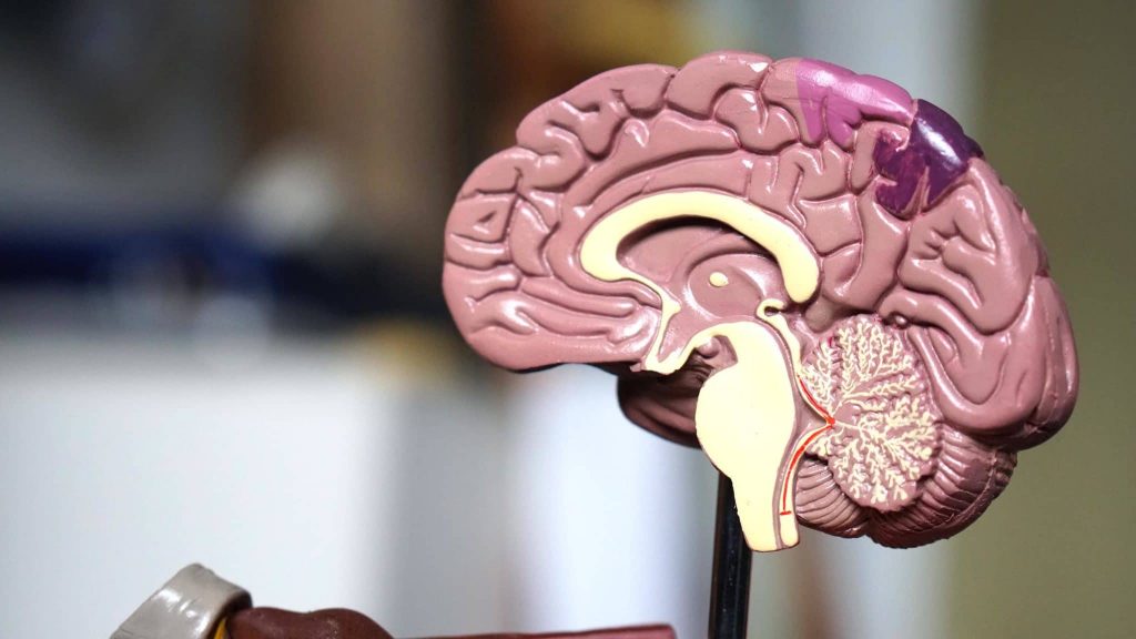 Neurosurgery in lagos