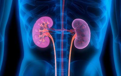 Can Diabetes and High Blood Pressure Lead to Chronic Kidney Disease: And What to Do About It
